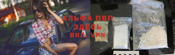 СК Волосово