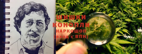 МДПВ Волоколамск