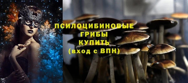 МДПВ Волоколамск