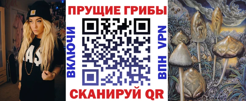 mega сайт  Петрозаводск  Галлюциногенные грибы прущие грибы 