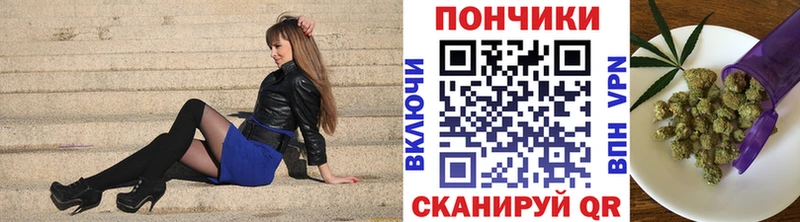 Бошки Шишки индика  Петрозаводск 